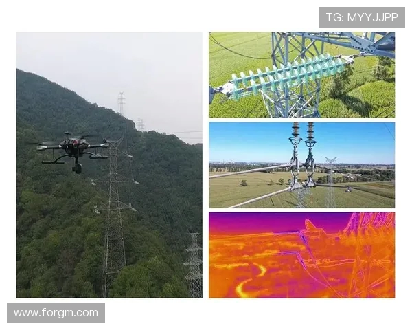 无人机在输电线路巡检的安全性